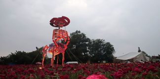 Day of the Dead Atlixco