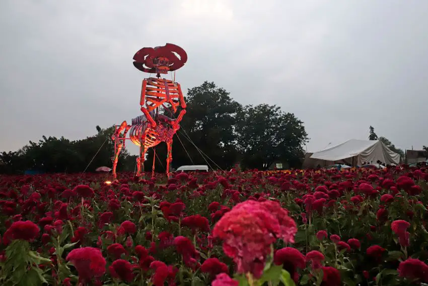 Is Day of the Dead in Atlixco the best experience in Mexico?