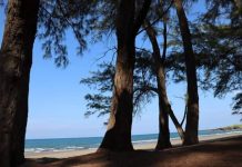 Los Pinos beach, Veracruz