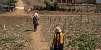 Climate change is a big factor in Mexicans' decisions to migrate to the United States, according to a new comprehensive study