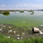 Contaminated water at the Bordo San Jerónimo, Mexico