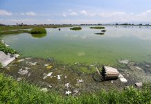 Contaminated water at the Bordo San Jerónimo, Mexico