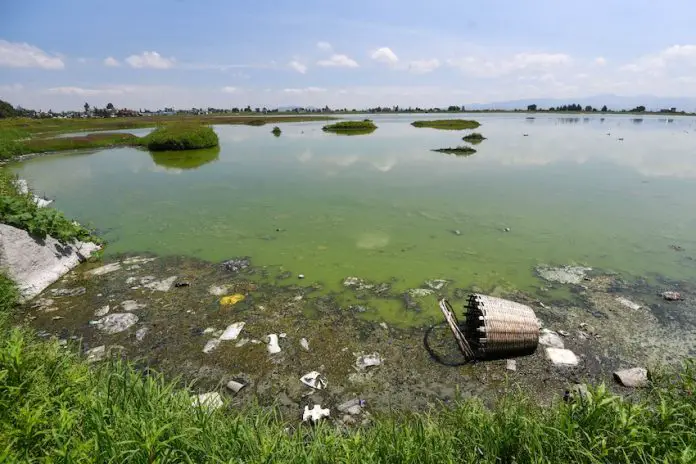 Contaminated water at the Bordo San Jerónimo, Mexico