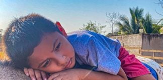 Equine therapy in Mexico