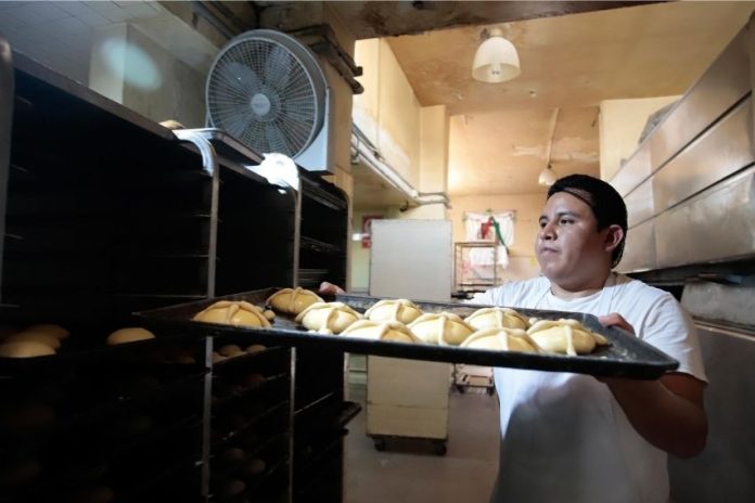 Mexican man in a white baker's tee shirt and apron puts a baking sheet of bread rolls onto an industrial-sized rack