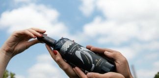 Viñedos Los Arcángeles