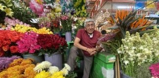 Mercado Ignacio Ramírez