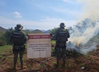 Members of the Mexican Marine seize a marijuana plantation.