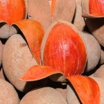 Several pieces of mamey, a Mexican favorite fruit.