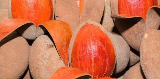 Several pieces of mamey, a Mexican favorite fruit.