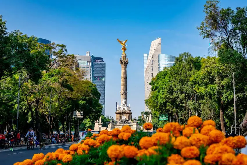 Paseo de la Reforma traditionally adorned with flor de cempasúchil for Día de Muertos.