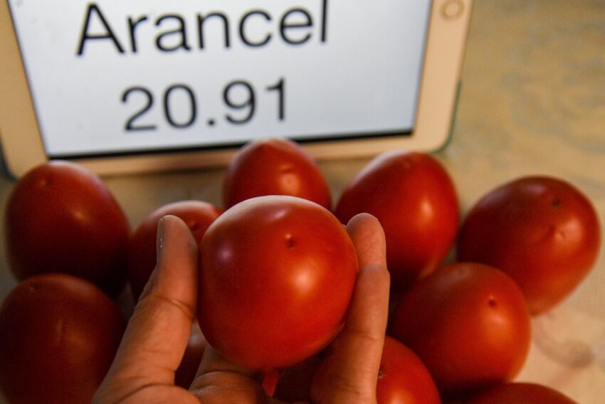 tomatoes and a sign