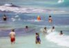 Waders frolicking in the ocean