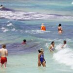 Waders frolicking in the ocean