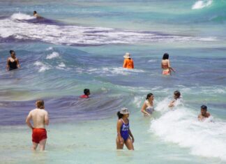 Waders frolicking in the ocean