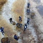 men working in seaweed off the coast