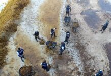men working in seaweed off the coast