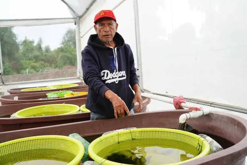 Israel Correa, one of the fishermen working to save the achoque from extinction