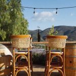 Villa Torél, some of the best food in Ensenada and Valle de Guadalupe