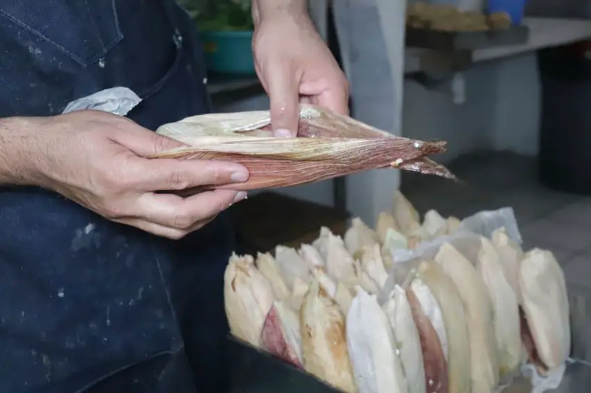 A person opening a traditional tamal. 