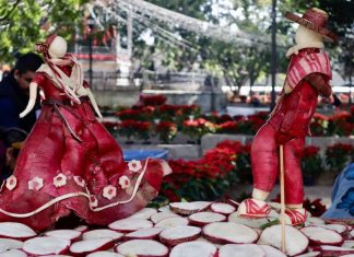 Dancers sculpted out of radishes as part of Oaxaca's Night of the Radishes