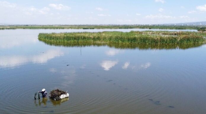 A lake