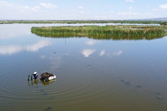 A lake