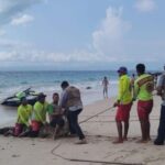 lifeguards restarin a crocodile on a beach