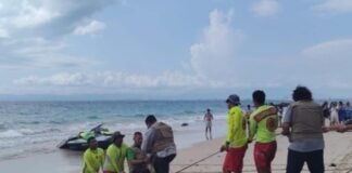 lifeguards restarin a crocodile on a beach