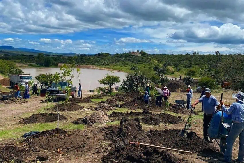 The Tikkun Eco Center is an oasis of green calm in the midst of one of Mexico's driest areas. 