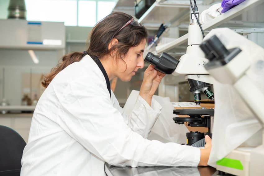 Woman scientist in a white lab coat in a laboratory, looking into a microscope