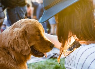 A woman and her golden retriever