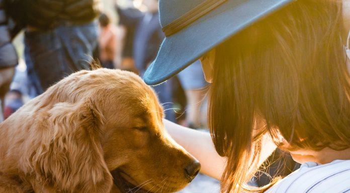 A woman and her golden retriever