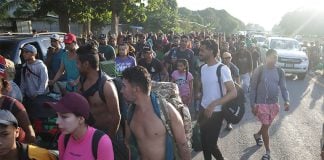 Dozens of people holding backpacks and belongings walk down a paved road in bright sun, with a forest in the background