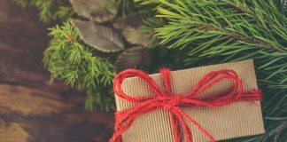 A Christmas gift under a tree