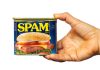 A hand holds a can of spam