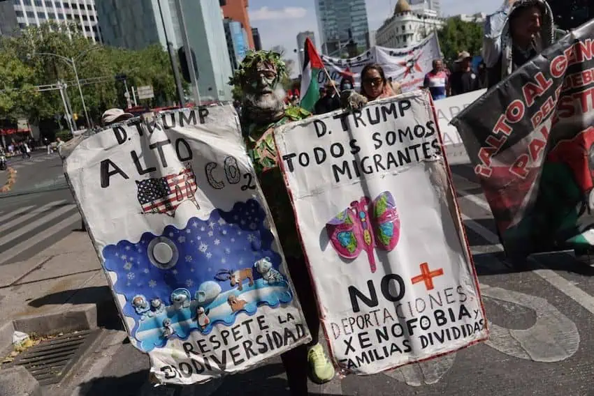 A man dressed as a tree holds signs telling Donald Trump to respect biodiversity and that "we are all migrants." 