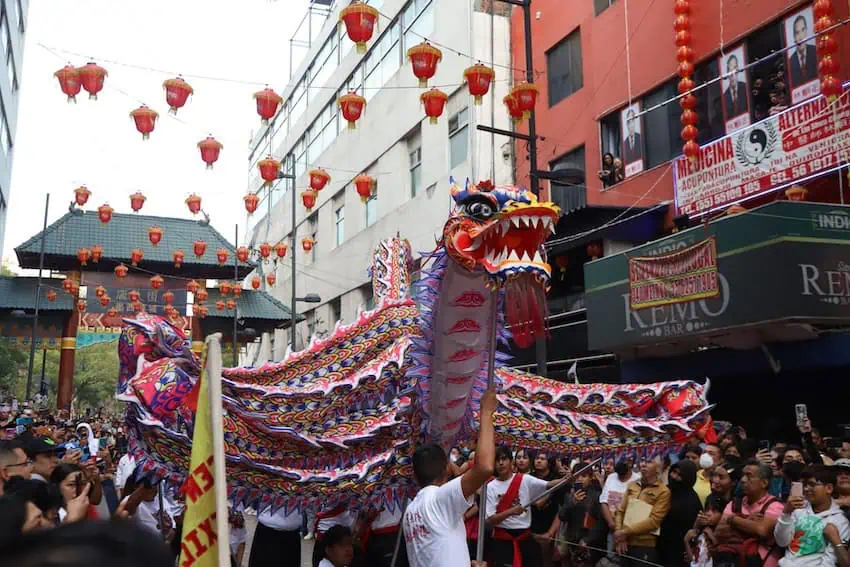 Celebration of the Chinese New Year, the year of the Rabbit in Mexico City's Chinatown. A representation of a Chinese dragon parades down Dolores Street in Chinatown, as a symbol of good fortune for the businesses located there.