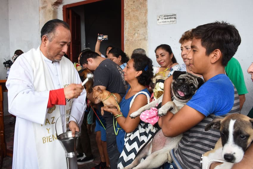 Pets being blessed by a priest