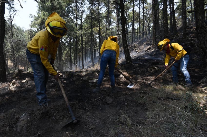 Mexican firefighters battling wildfires