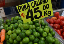 A pile of limes with a sign that reads "Pura calidad, $45 por kg," illustrating the decrease in inflation in Mexico