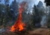 A wildfire in Mexico