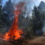 A wildfire in Mexico