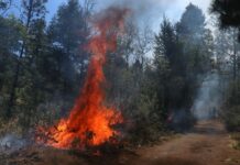 A wildfire in Mexico