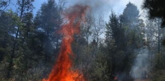 A wildfire in Mexico