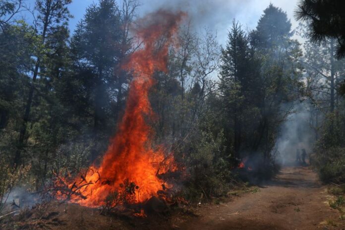 A wildfire in Mexico