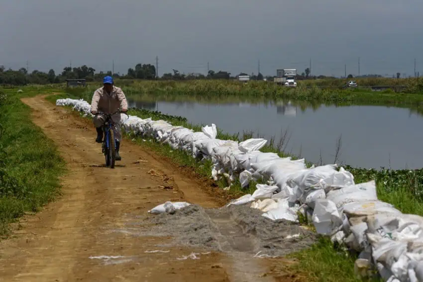 Mexican man riding a bicycle on a causeway filled with flood-prevention sandbags set up by the Lerma River in San Mateo Atenco, Mexico state.