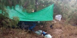 A green tarp held up by stakes in the ground in a grassy, sandy area. Underneath and around the lean-to are clothes and other gear not clear enough in the photo