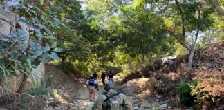 Soldiers walking through a wooded area
