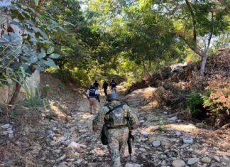 Soldiers walking through a wooded area